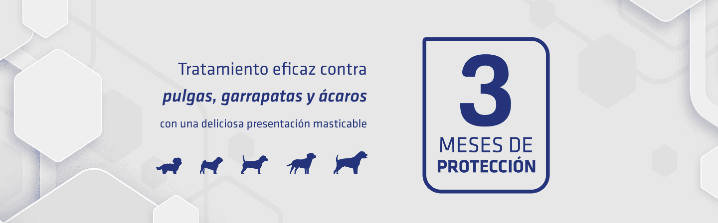 Ferox: tres meses de protección continua contra pulgas, garrapatas y ácaros en tableta masticable